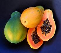 Papaya